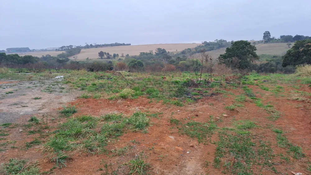Alugar Terreno / Residencial em Limeira R$ 3.000,00 - Foto 4