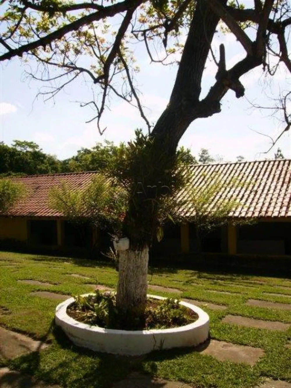 Comprar Rural / Ch&aacute;cara em Americana R$ 6.000.000,00 - Foto 6