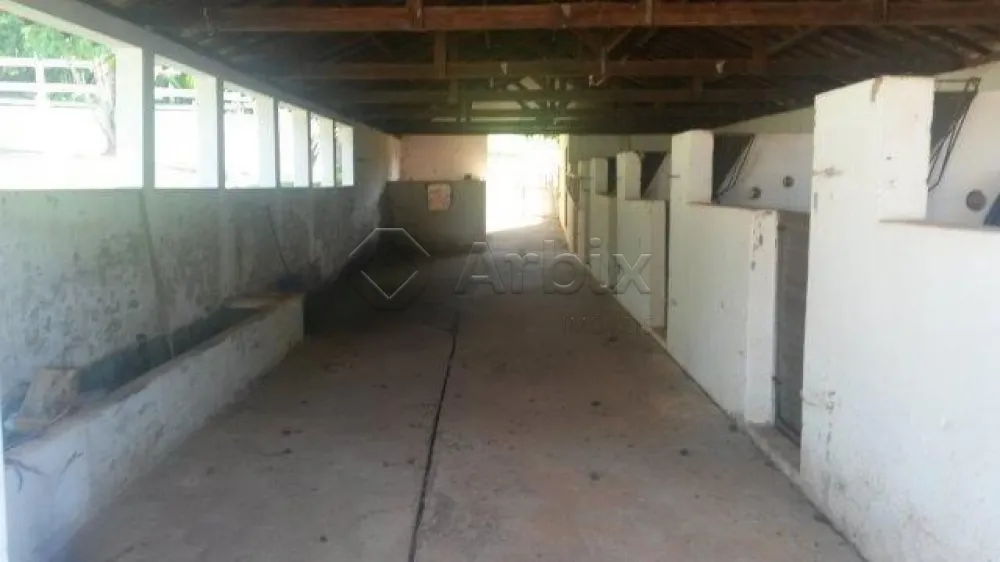 Comprar Rural / Ch&aacute;cara em Americana R$ 6.000.000,00 - Foto 8