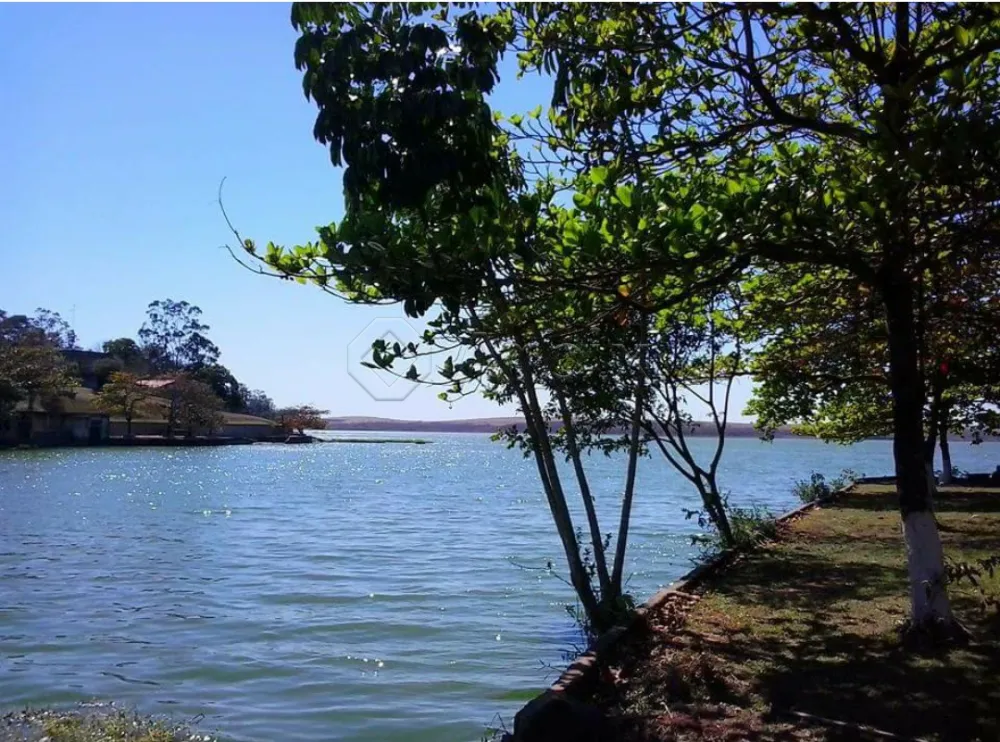 Comprar Rural / Ch&aacute;cara em Americana R$ 6.000.000,00 - Foto 11