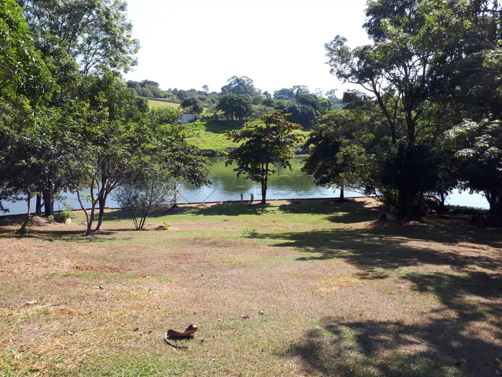 Comprar Rural / Ch&aacute;cara em Americana R$ 6.000.000,00 - Foto 2