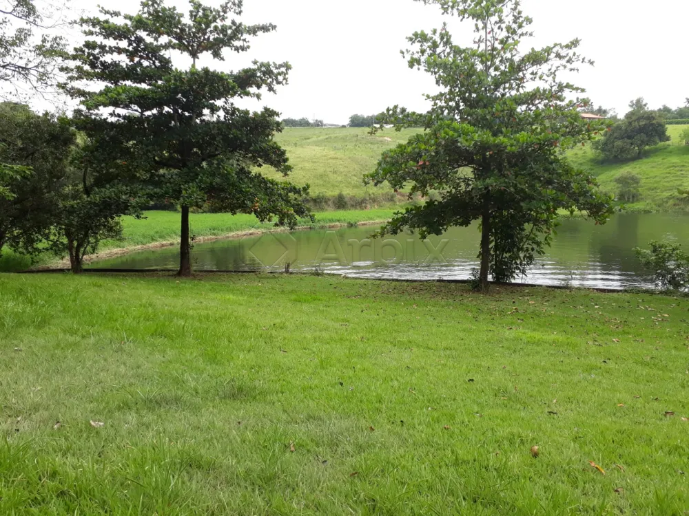 Comprar Rural / Ch&aacute;cara em Americana R$ 6.000.000,00 - Foto 13