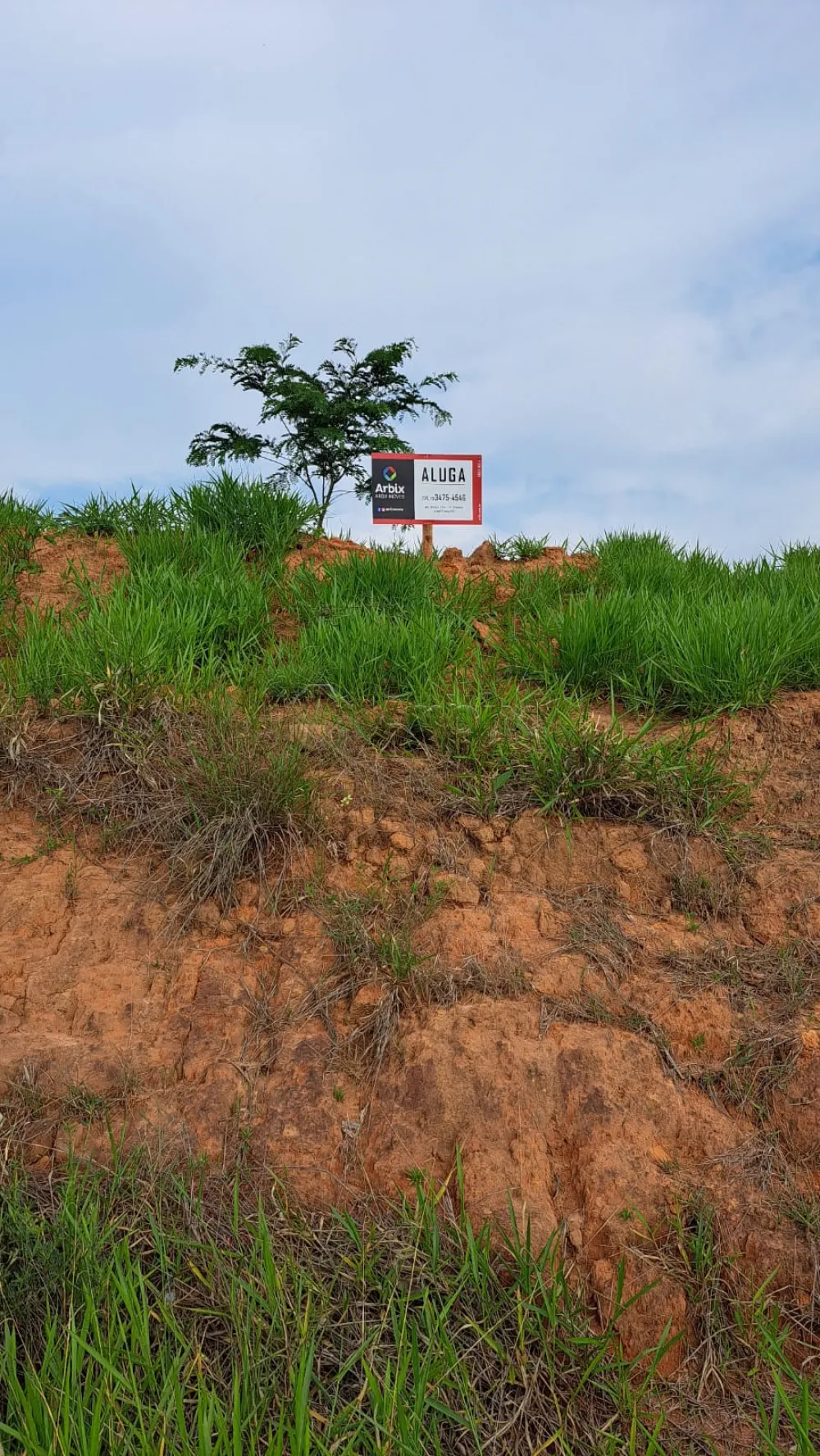 Alugar Terreno / Residencial em Americana R$ 7.000,00 - Foto 1