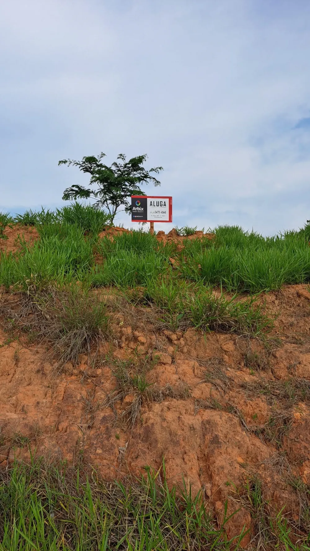 Alugar Terreno / Residencial em Americana R$ 7.000,00 - Foto 2