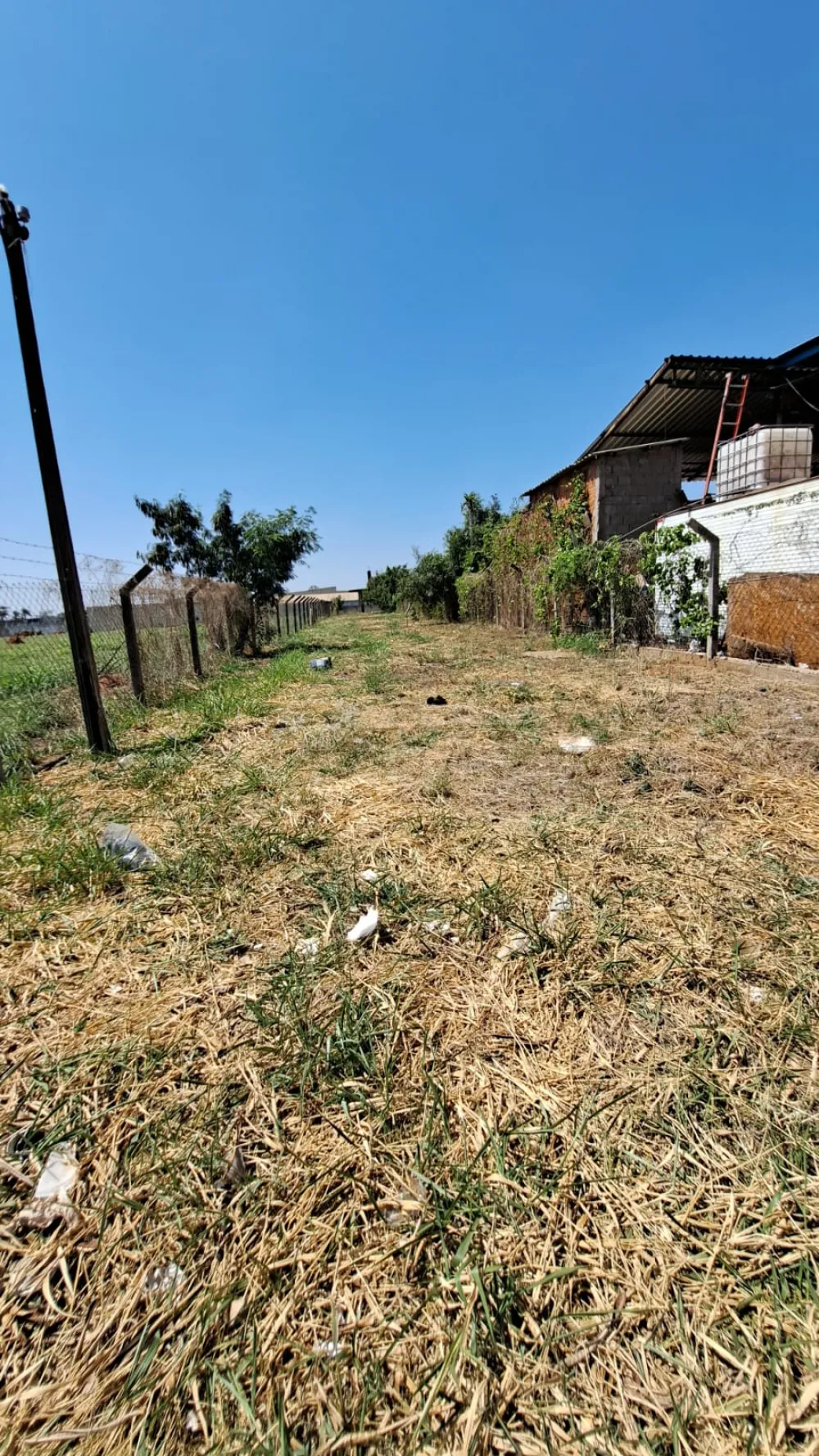 Alugar Terreno / &Aacute;rea em Americana R$ 2.000,00 - Foto 4