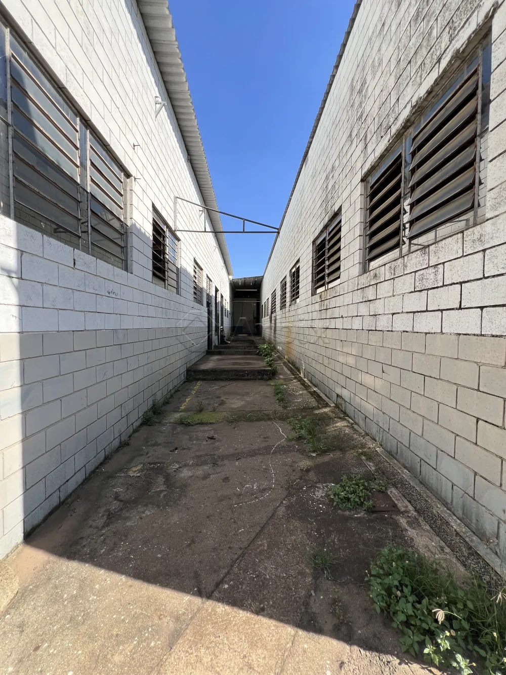 Alugar Comercial / Sal&atilde;o Industrial em Americana R$ 80.000,00 - Foto 29