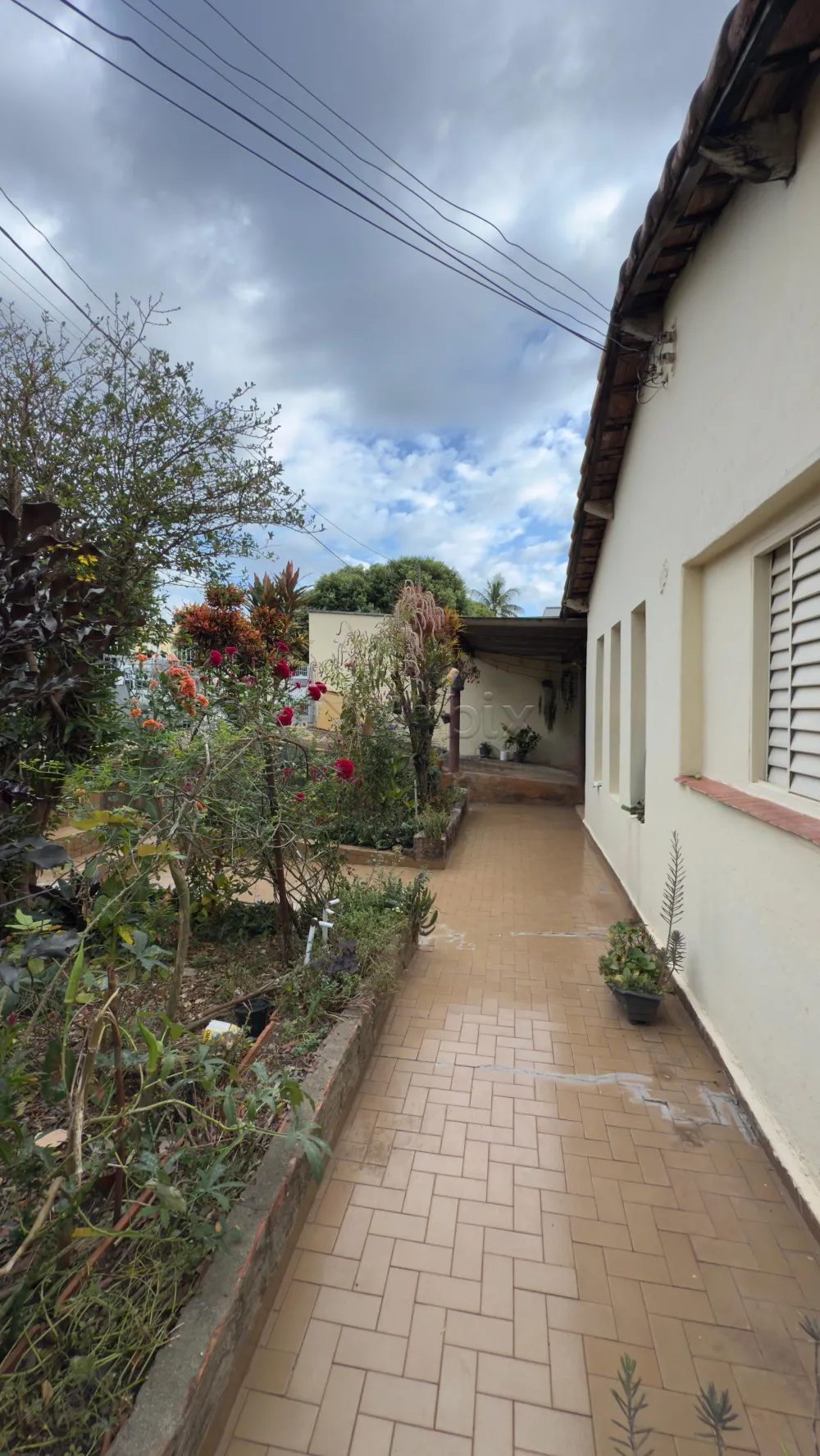 Comprar Casa / Residencial em Americana R$ 290.000,00 - Foto 3