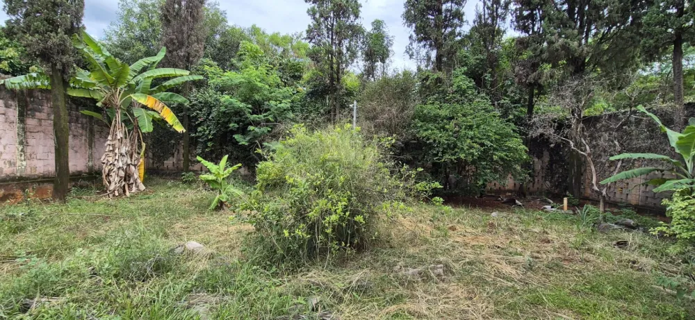 Alugar Casa / Condom&iacute;nio em Americana R$ 6.000,00 - Foto 19