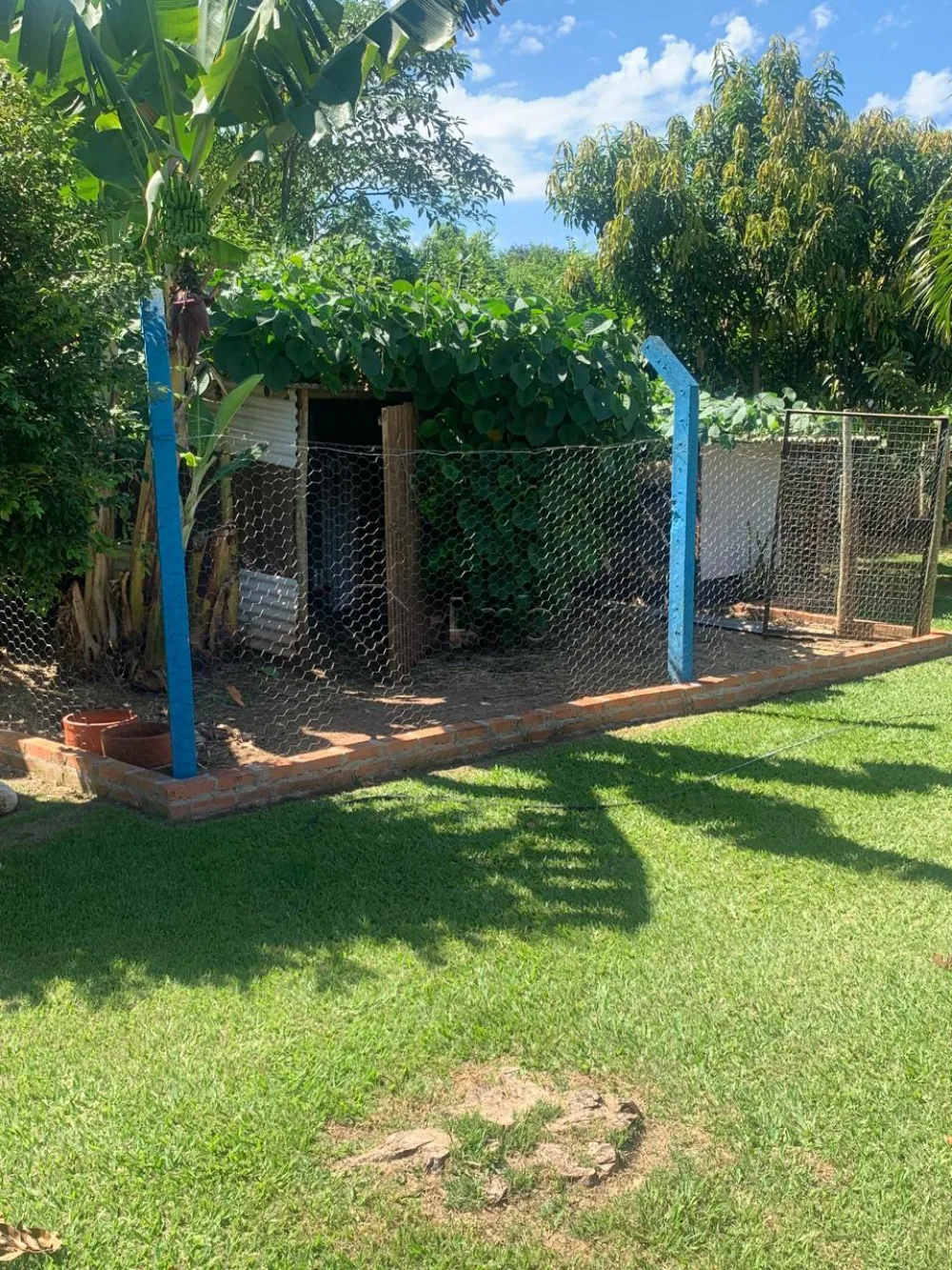 Comprar Rural / Ch&aacute;cara em Limeira R$ 950.000,00 - Foto 13