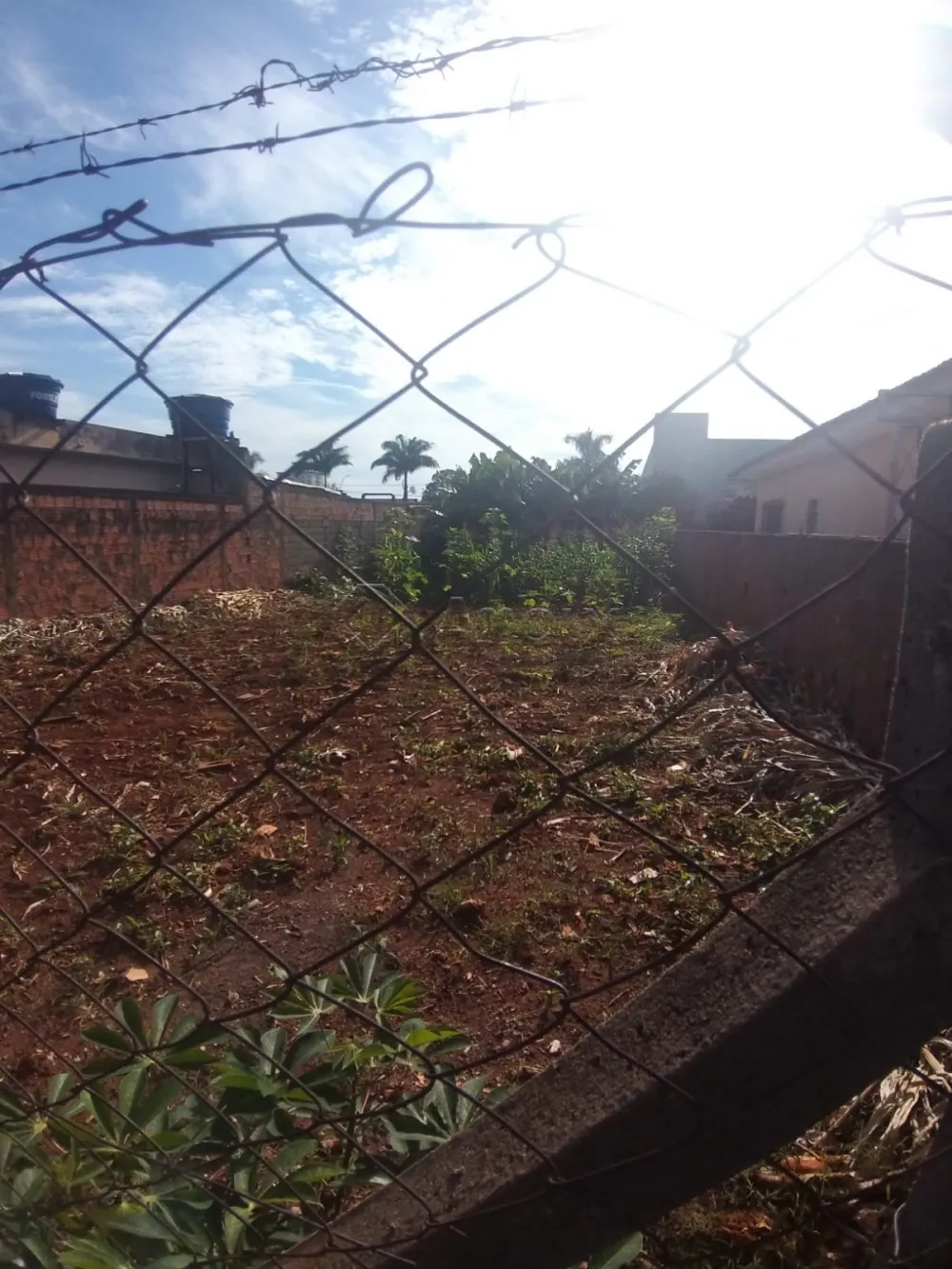 Comprar Terreno / Residencial em Americana R$ 359.000,00 - Foto 3