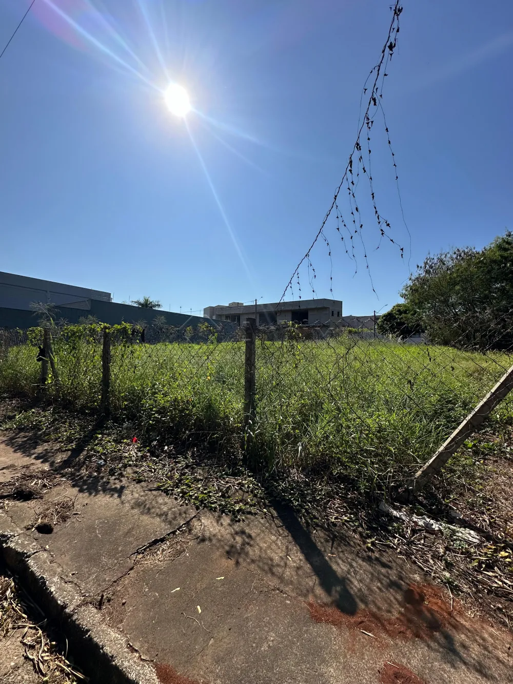 Comprar Terreno / Comercial em Americana R$ 395.000,00 - Foto 2