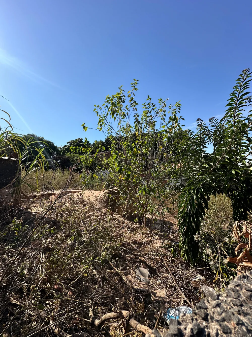 Comprar Terreno / Misto em Americana R$ 590.000,00 - Foto 4