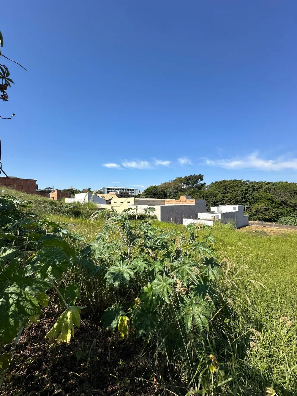 Comprar Terreno / Misto em Americana R$ 320.000,00 - Foto 3