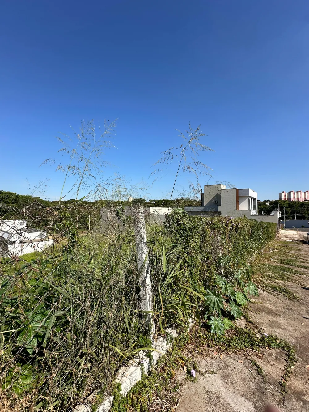 Comprar Terreno / Residencial em Americana R$ 320.000,00 - Foto 2