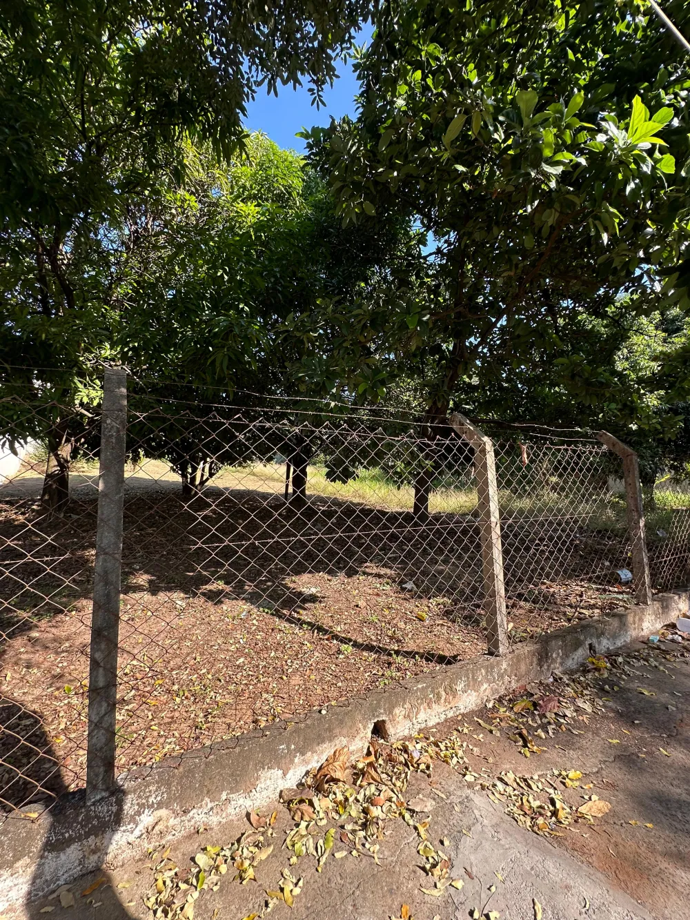 Comprar Terreno / Misto em Americana R$ 550.000,00 - Foto 2