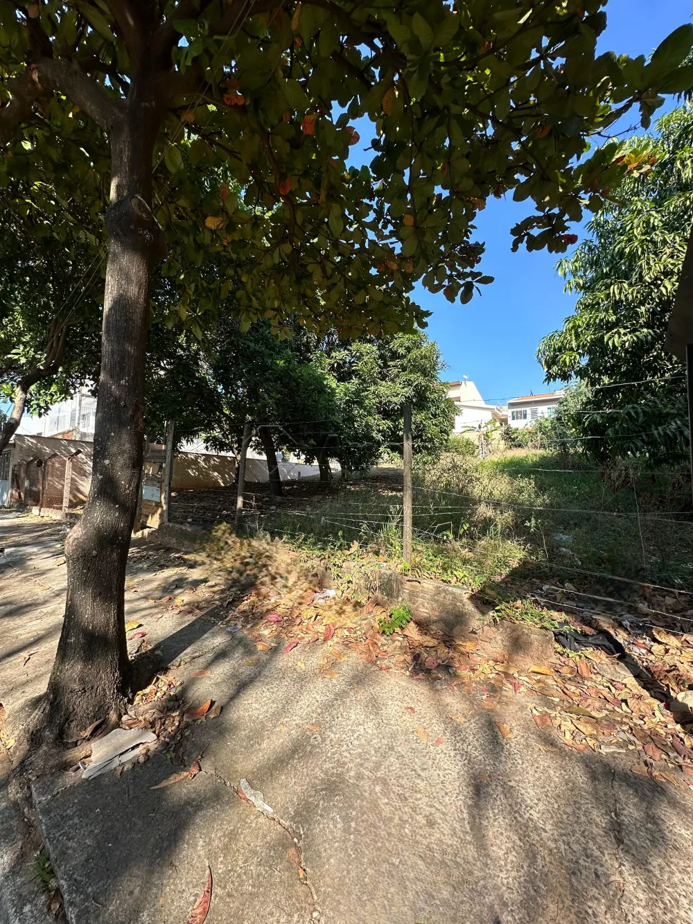 Comprar Terreno / Misto em Americana R$ 550.000,00 - Foto 3