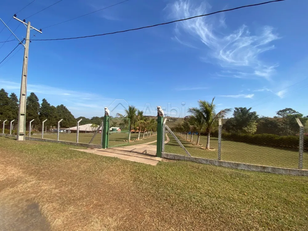 Comprar Rural / Ch&aacute;cara em S&atilde;o Pedro R$ 870.000,00 - Foto 1