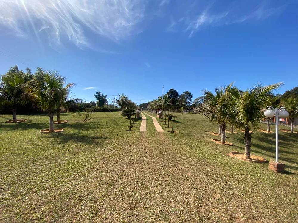 Comprar Rural / Ch&aacute;cara em S&atilde;o Pedro R$ 870.000,00 - Foto 2