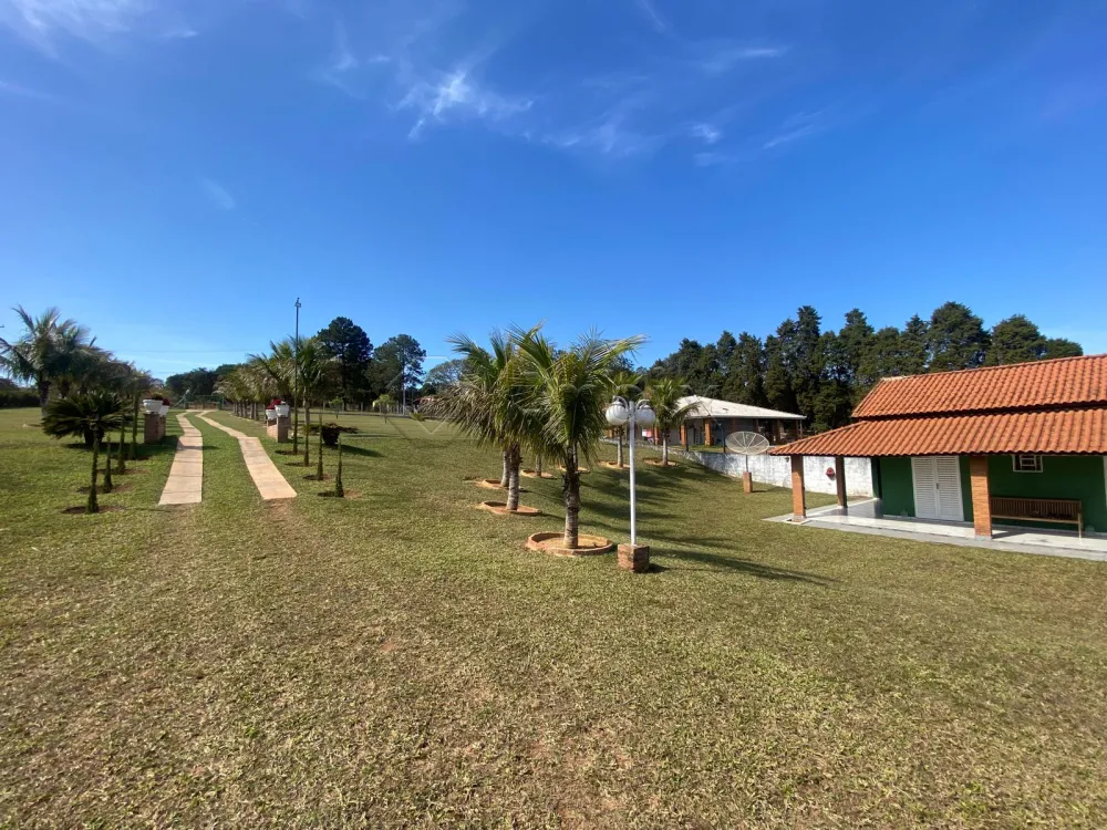 Comprar Rural / Ch&aacute;cara em S&atilde;o Pedro R$ 870.000,00 - Foto 7