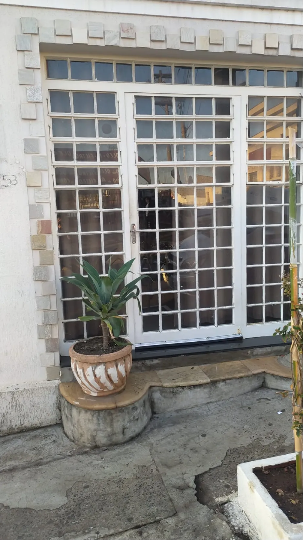 Alugar Apartamento / Kitnet em Americana R$ 800,00 - Foto 2