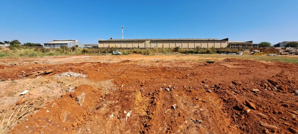 Alugar Terreno / &Aacute;rea em Americana R$ 10.000,00 - Foto 3