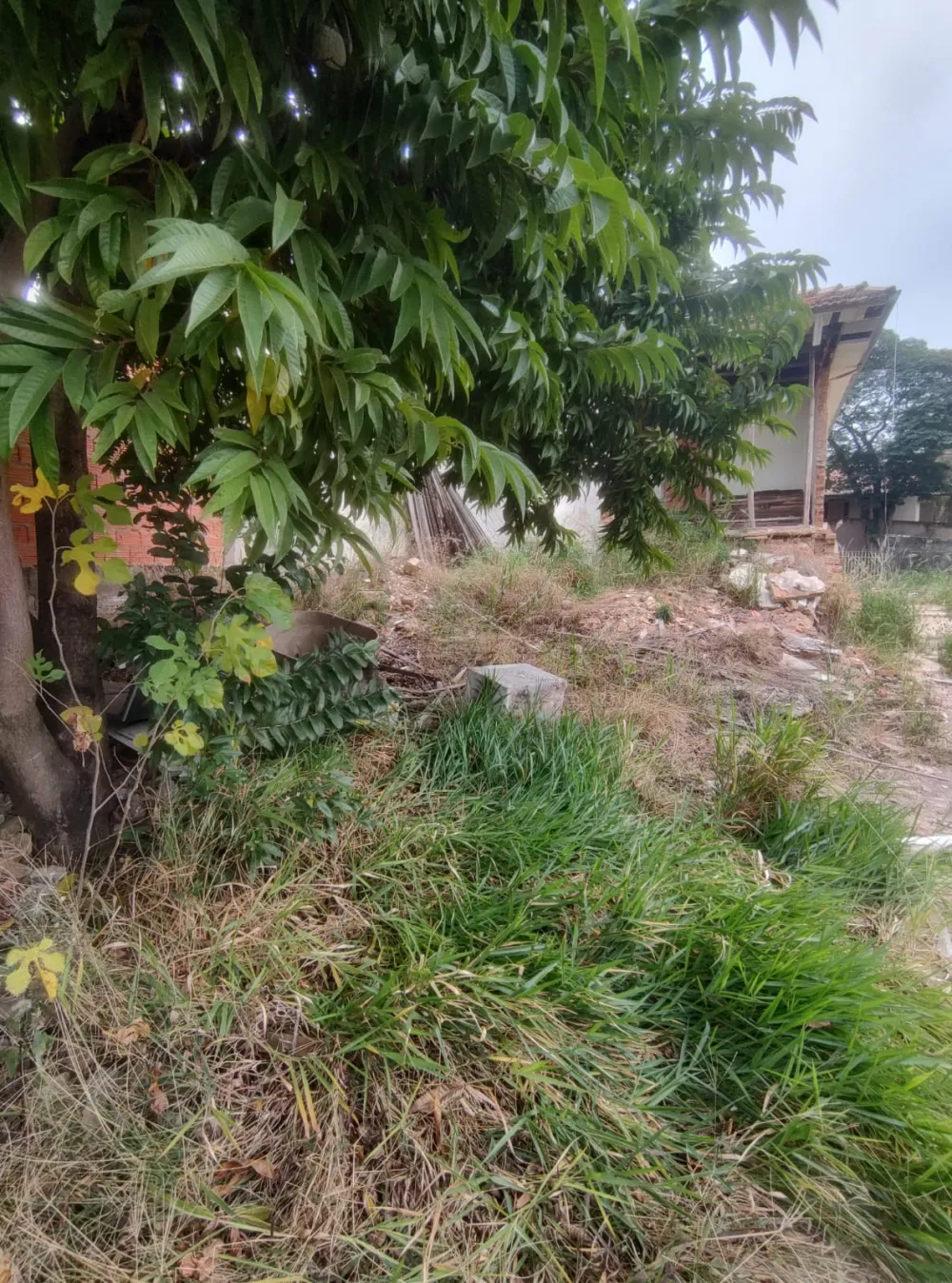 Comprar Terreno / Misto em Americana R$ 750.000,00 - Foto 29