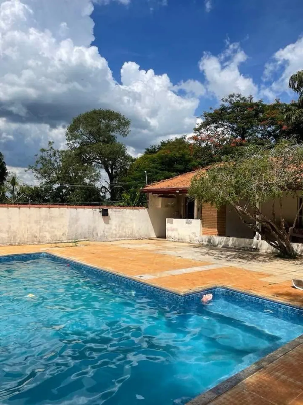 Comprar Rural / Ch&aacute;cara em Americana R$ 580.000,00 - Foto 3