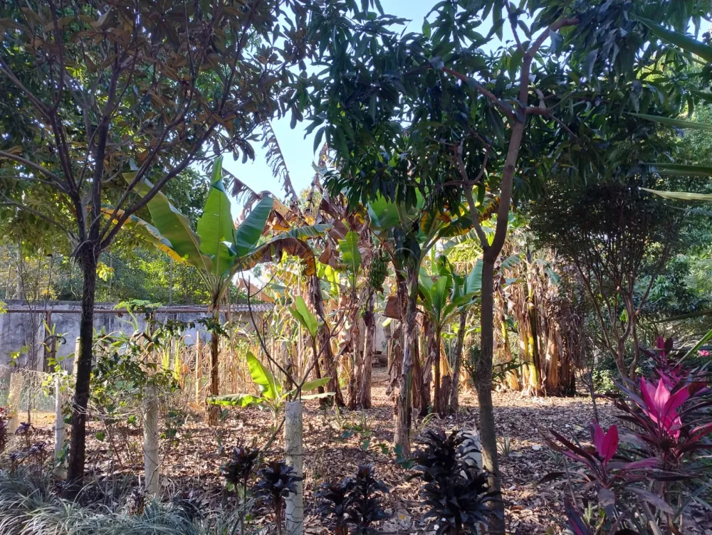 Comprar Terreno / Residencial em Nova Odessa R$ 420.000,00 - Foto 2