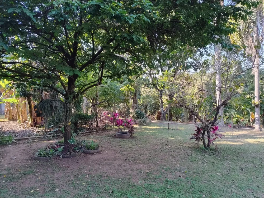 Comprar Terreno / Residencial em Nova Odessa R$ 420.000,00 - Foto 4