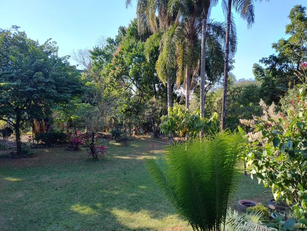 Comprar Terreno / Residencial em Nova Odessa R$ 420.000,00 - Foto 5