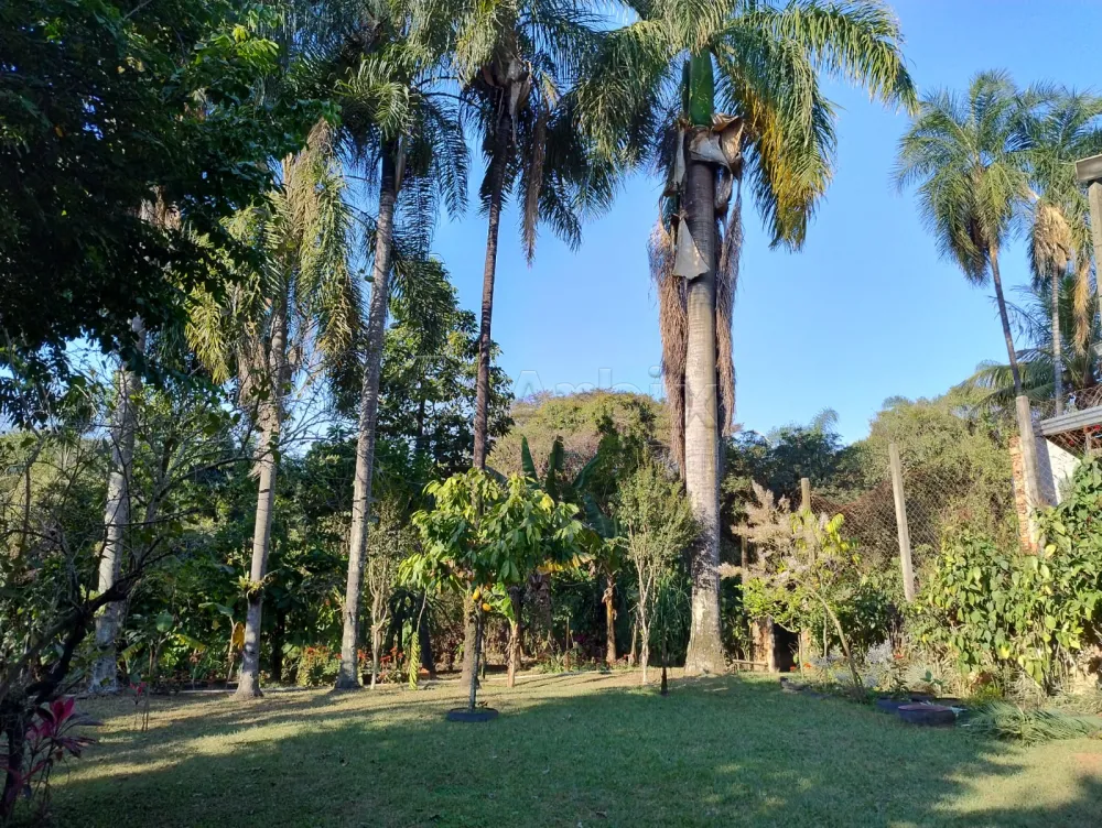 Comprar Terreno / Residencial em Nova Odessa R$ 420.000,00 - Foto 6