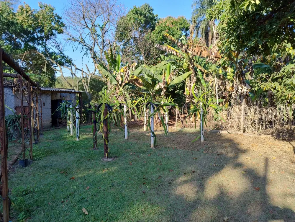 Comprar Terreno / Residencial em Nova Odessa R$ 420.000,00 - Foto 7