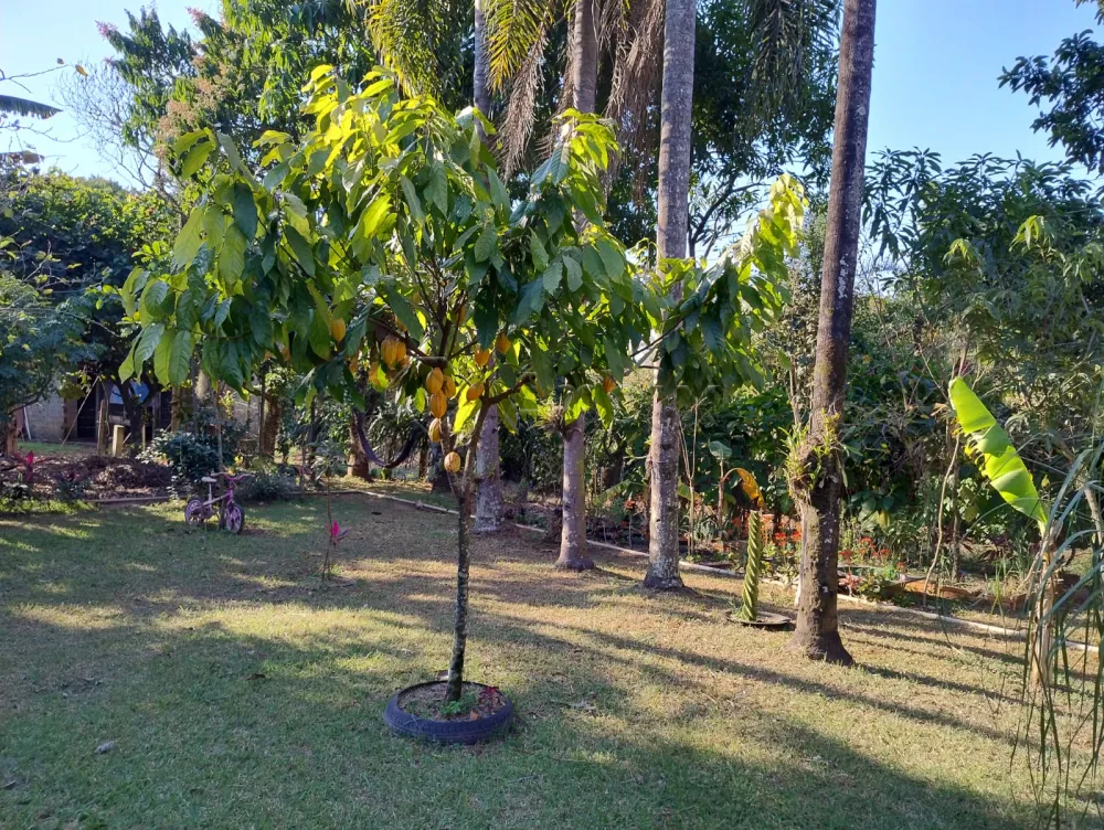 Comprar Terreno / Residencial em Nova Odessa R$ 420.000,00 - Foto 9