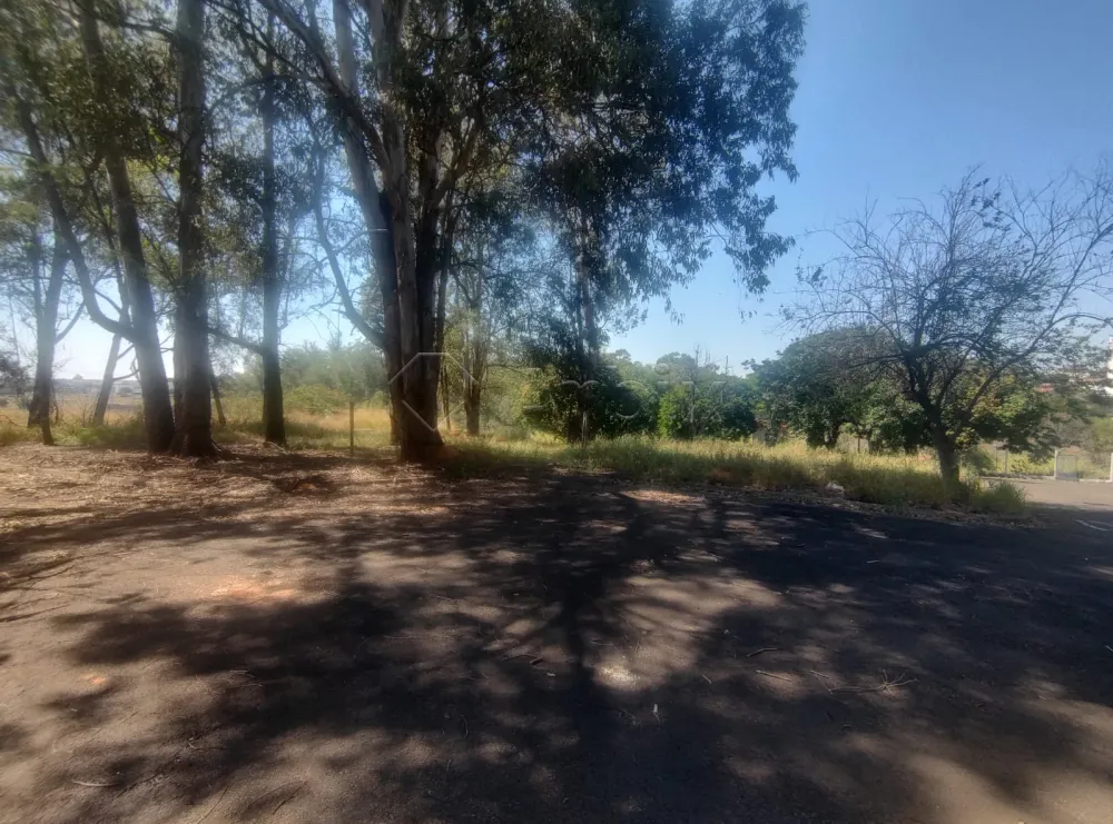 Alugar Comercial / Sal&atilde;o Industrial em Americana R$ 32.000,00 - Foto 19