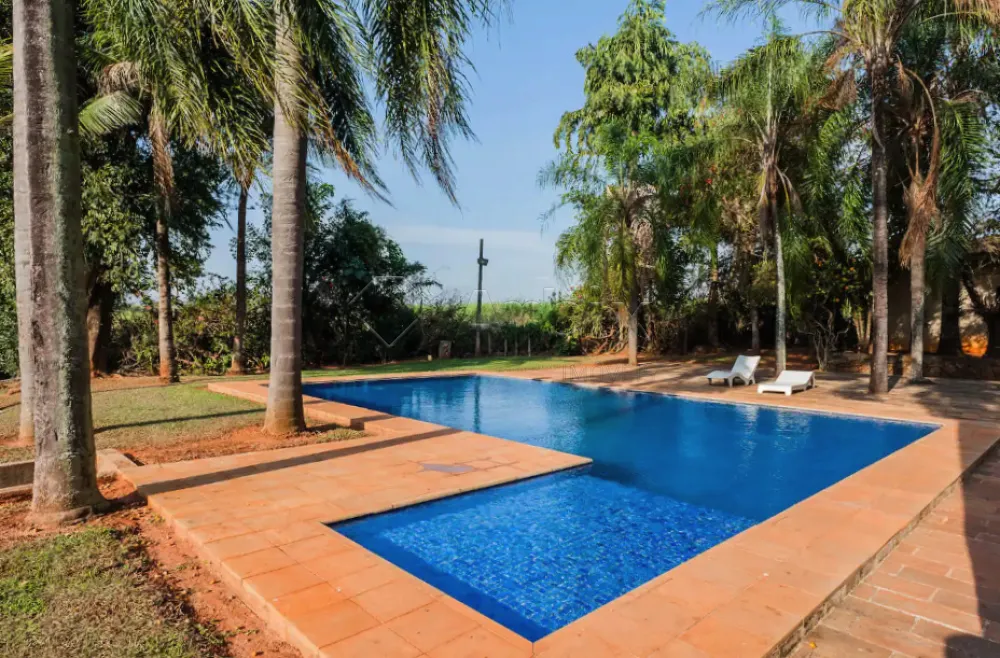 Comprar Rural / Ch&aacute;cara em Americana R$ 2.900.000,00 - Foto 17