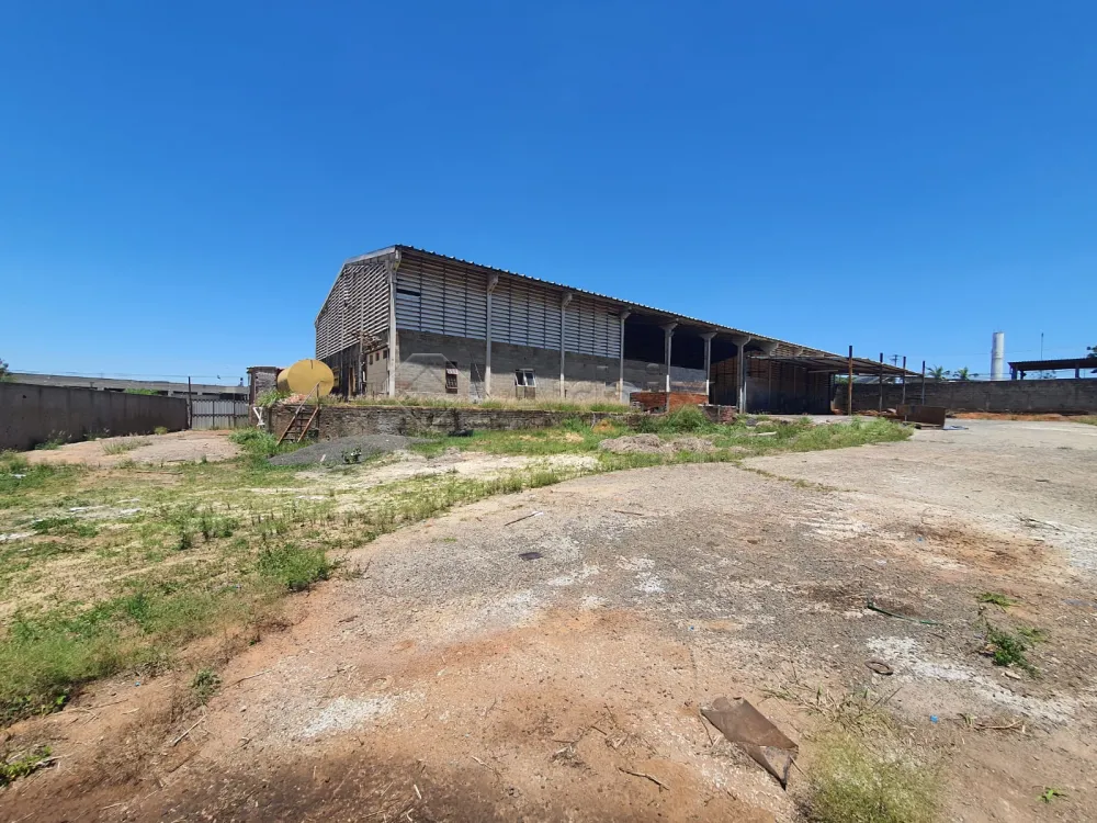 Alugar Comercial / Casa Comercial em Americana R$ 16.000,00 - Foto 37