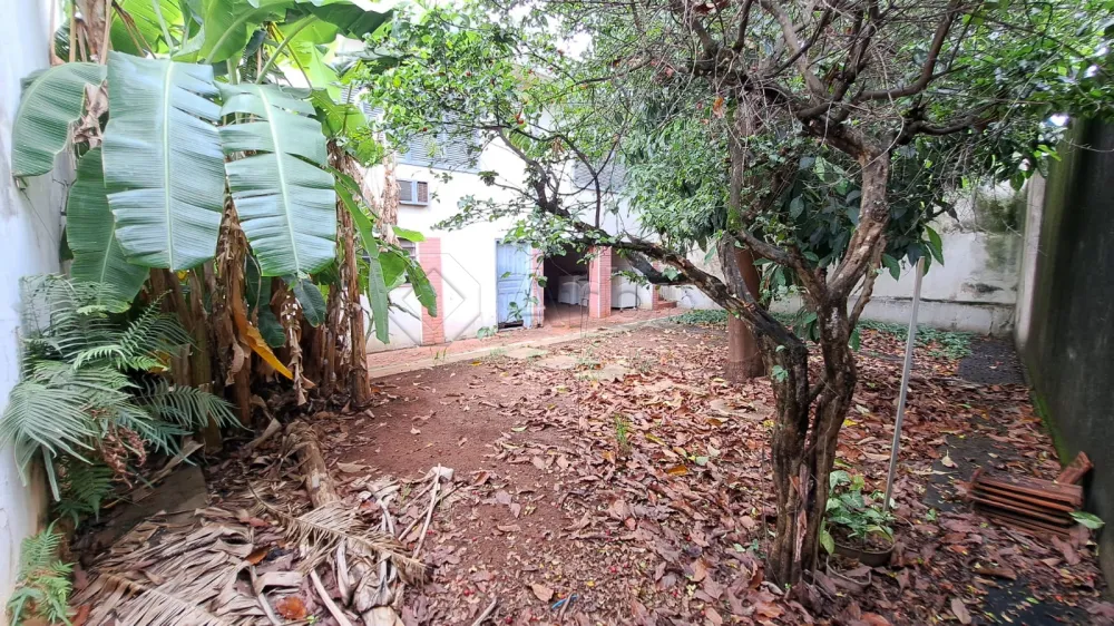 Alugar Casa / Residencial em Americana R$ 10.000,00 - Foto 29