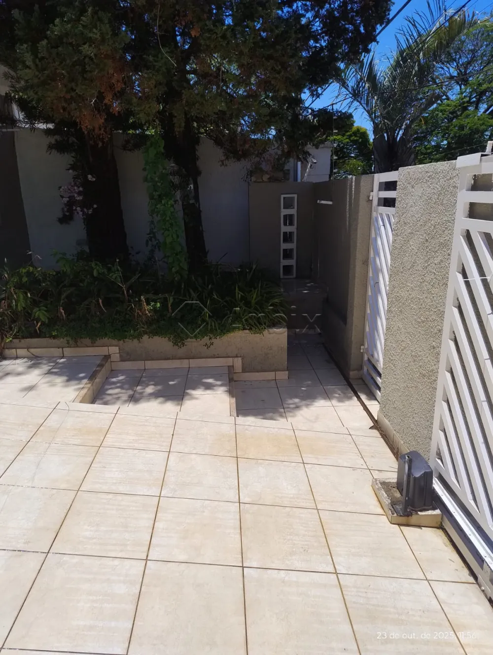 Alugar Casa / Residencial em Americana R$ 6.000,00 - Foto 3