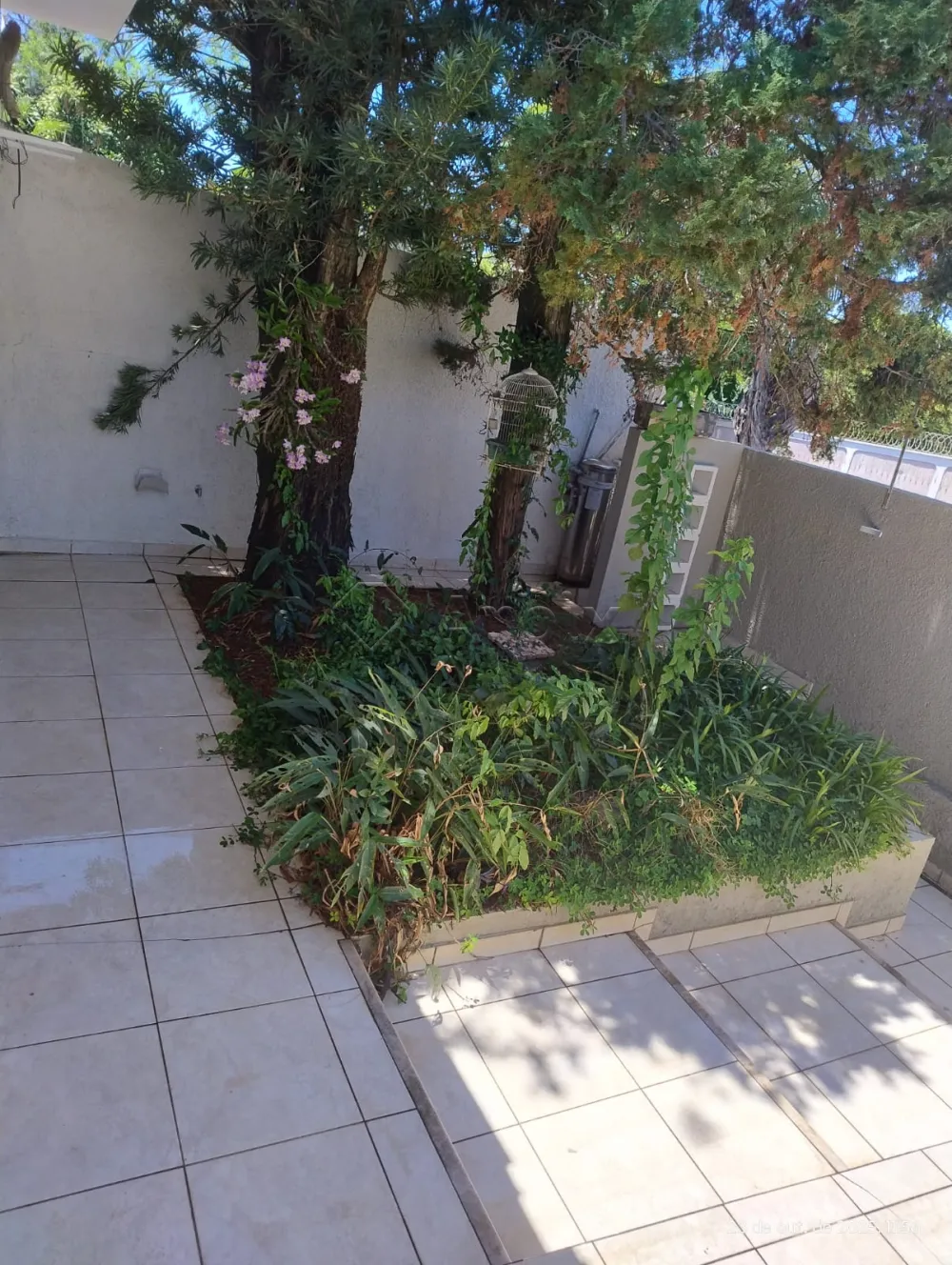 Alugar Casa / Residencial em Americana R$ 6.000,00 - Foto 4