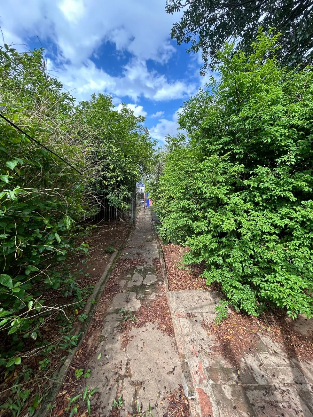 Comprar Terreno / Residencial em Americana R$ 580.000,00 - Foto 3