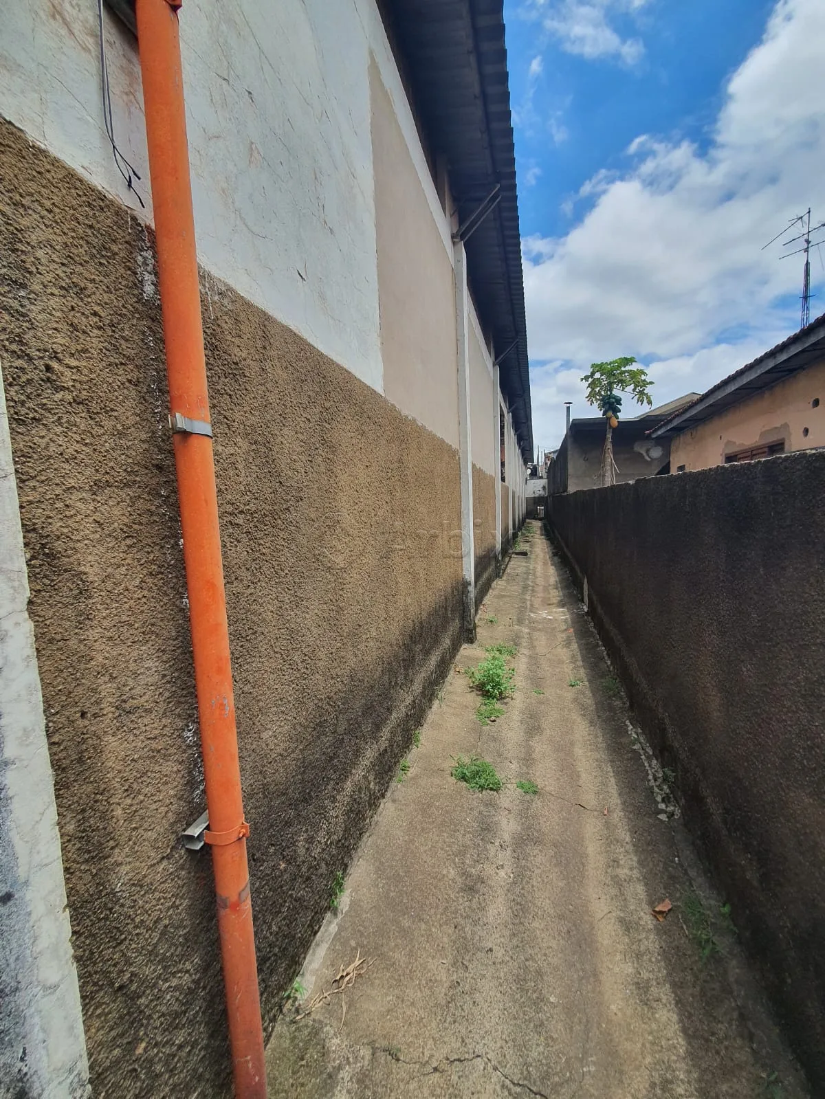 Alugar Comercial / Sal&atilde;o Industrial em Americana R$ 16.000,00 - Foto 46