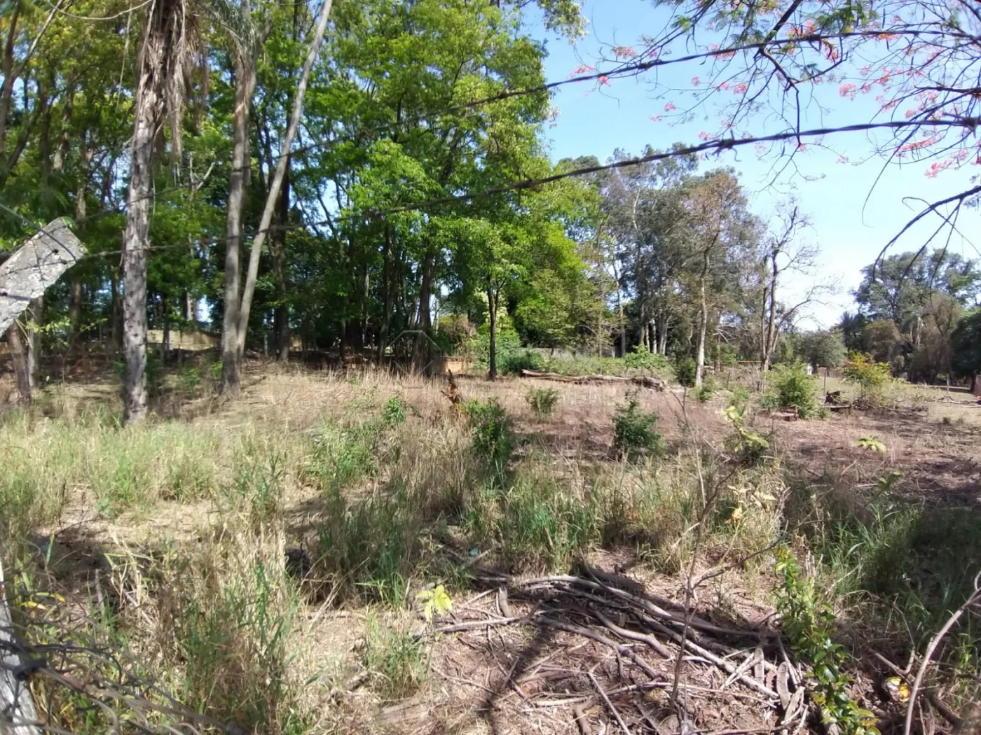 Comprar Terreno / Comercial em Americana R$ 3.630.000,00 - Foto 2