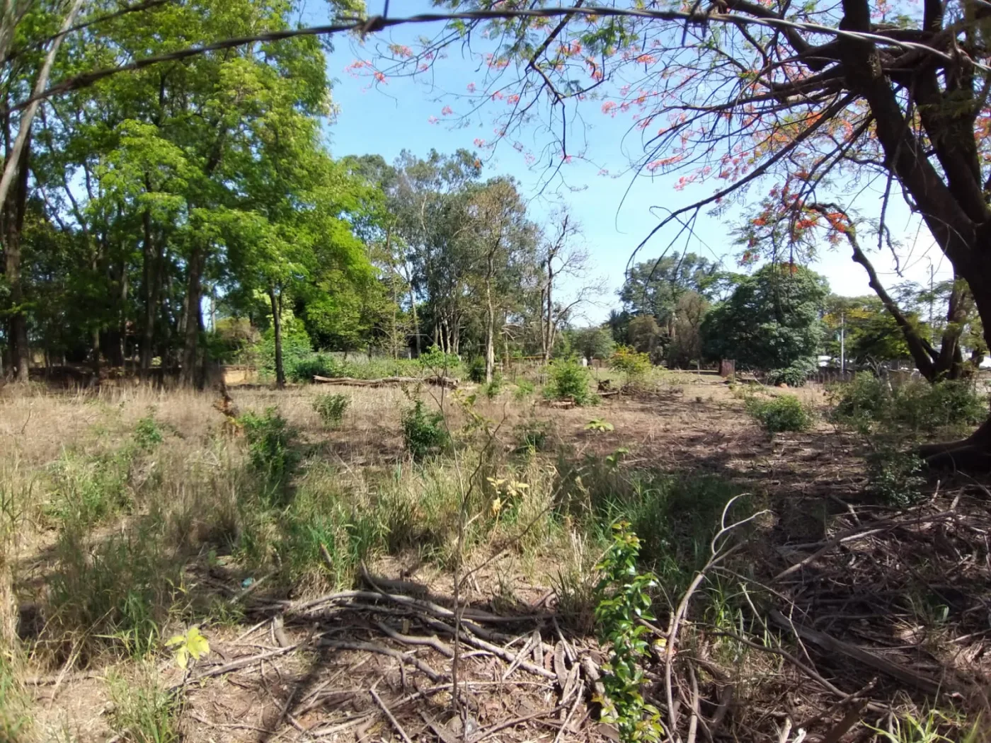 Comprar Terreno / Comercial em Americana R$ 3.630.000,00 - Foto 3