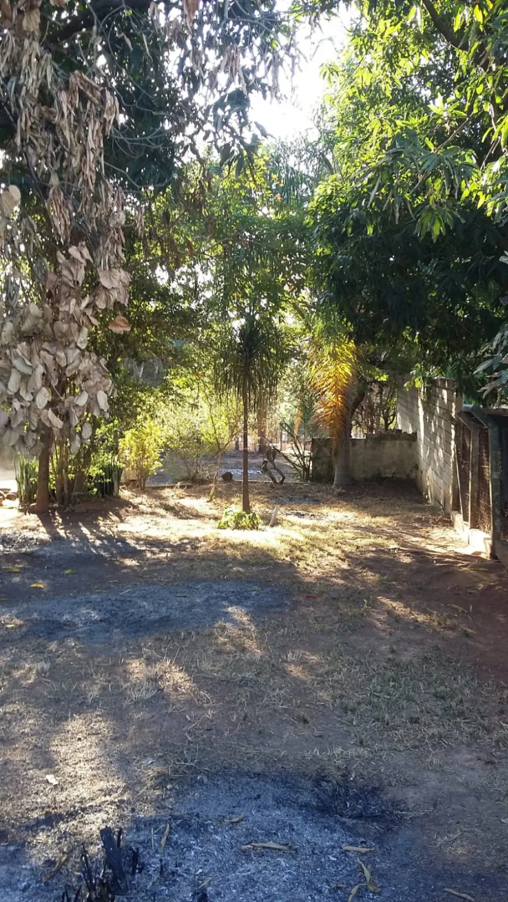 Comprar Rural / Ch&aacute;cara em Nova Odessa R$ 660.000,00 - Foto 2
