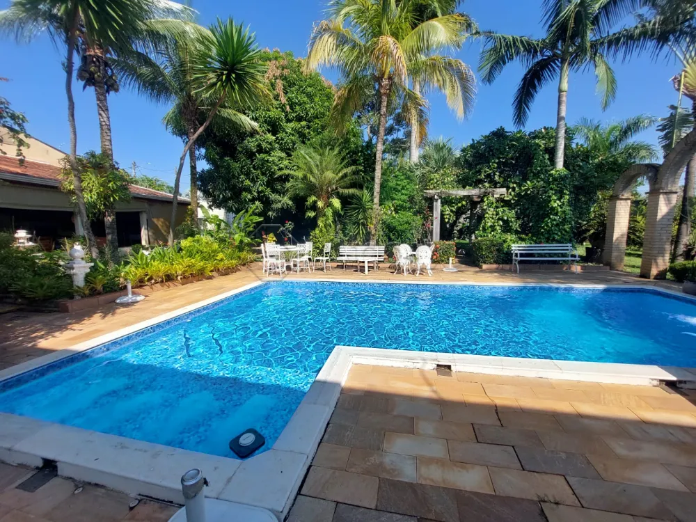 Comprar Rural / Ch&aacute;cara em Americana R$ 1.000.000,00 - Foto 19