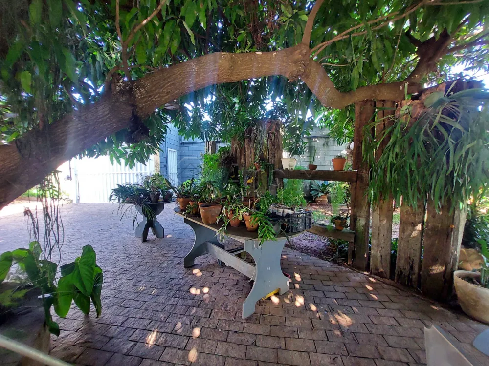 Comprar Rural / Ch&aacute;cara em Americana R$ 1.000.000,00 - Foto 27