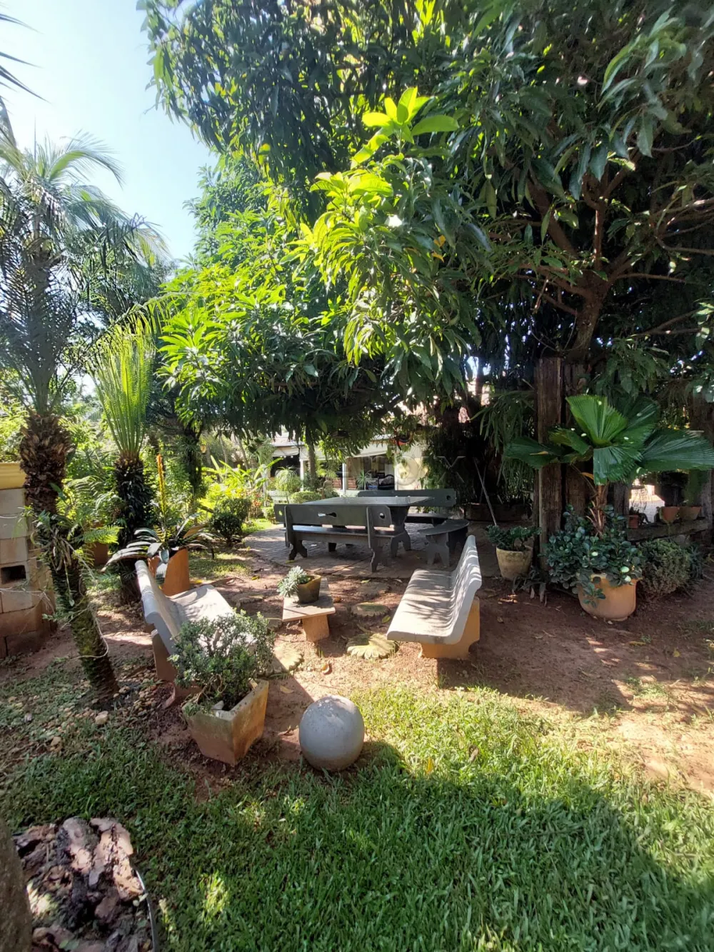 Comprar Rural / Ch&aacute;cara em Americana R$ 1.000.000,00 - Foto 30