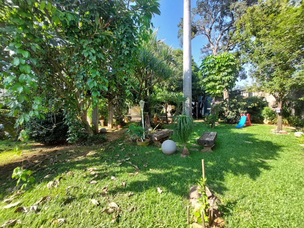 Comprar Rural / Ch&aacute;cara em Americana R$ 1.000.000,00 - Foto 34