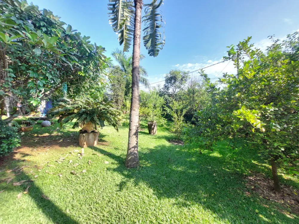 Comprar Rural / Ch&aacute;cara em Americana R$ 1.000.000,00 - Foto 38