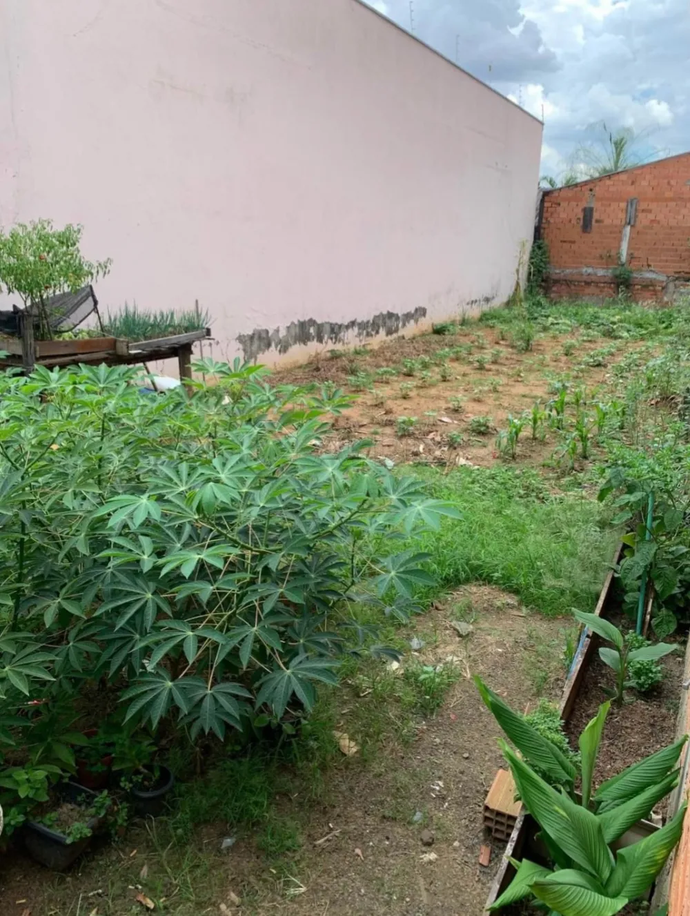 Comprar Terreno / Residencial em Americana R$ 130.000,00 - Foto 3